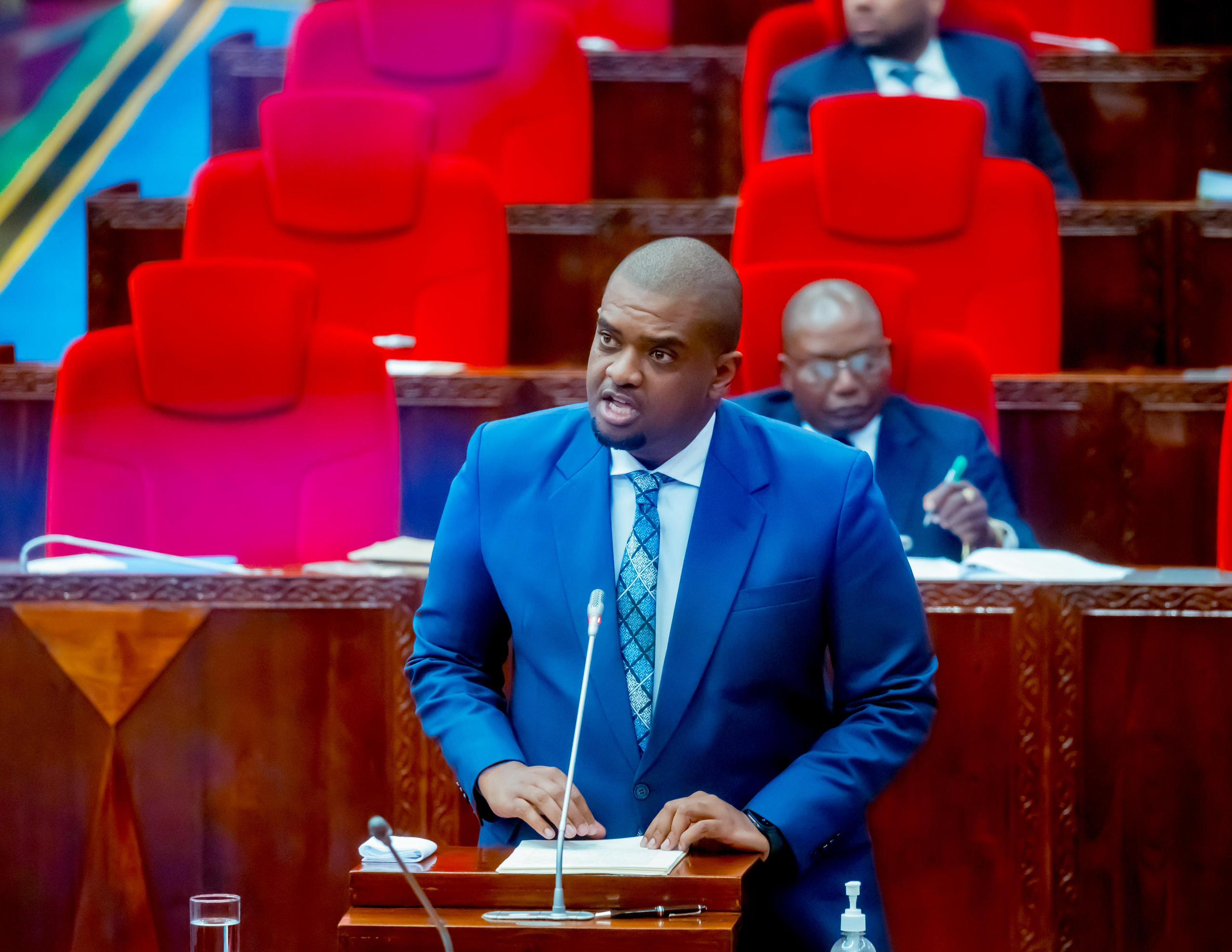 Tanzania allocates 6.02bn/- for residents involved in the Ludewa power project