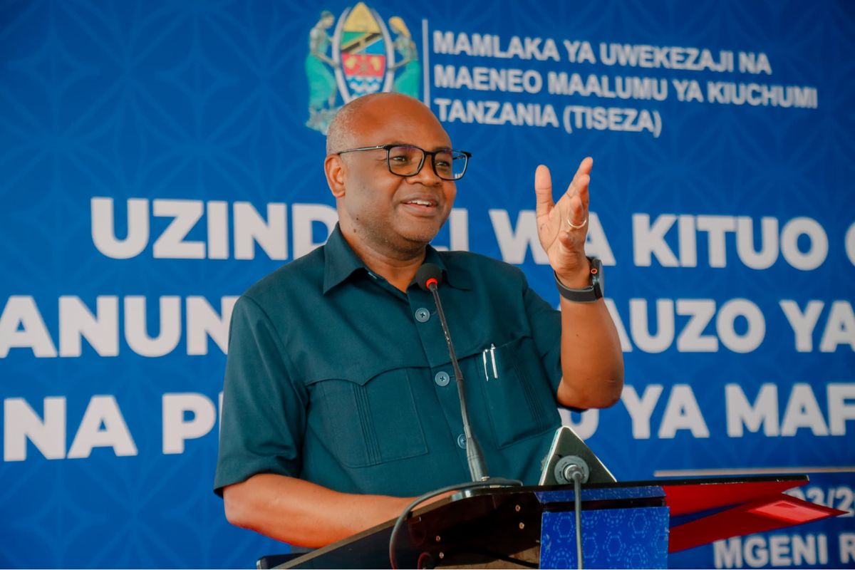 Tanzania launches export hub to connect 100,000 youth entrepreneurs to global markets by 2030