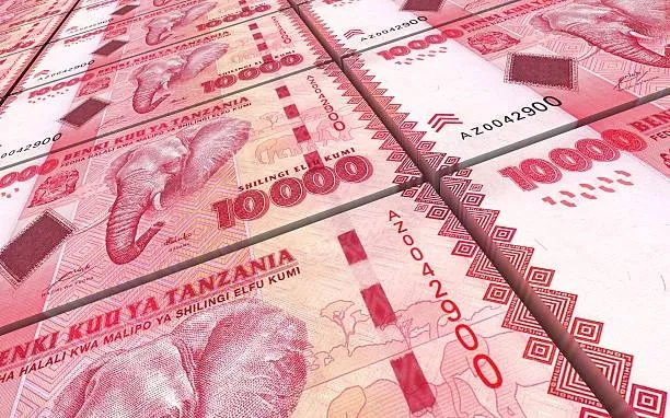 Tanzania markets rise despite global volatility