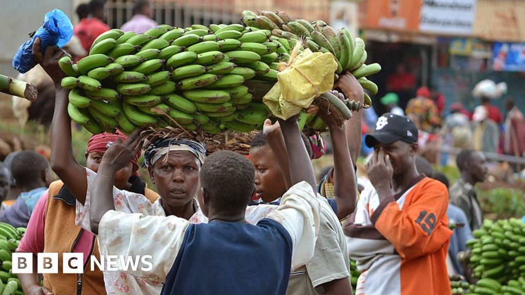 Tanzania bans South Africa and Malawi imports as trade row escalates